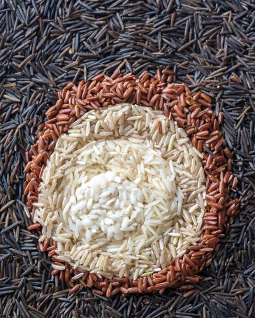 Different kinds of rice: top view